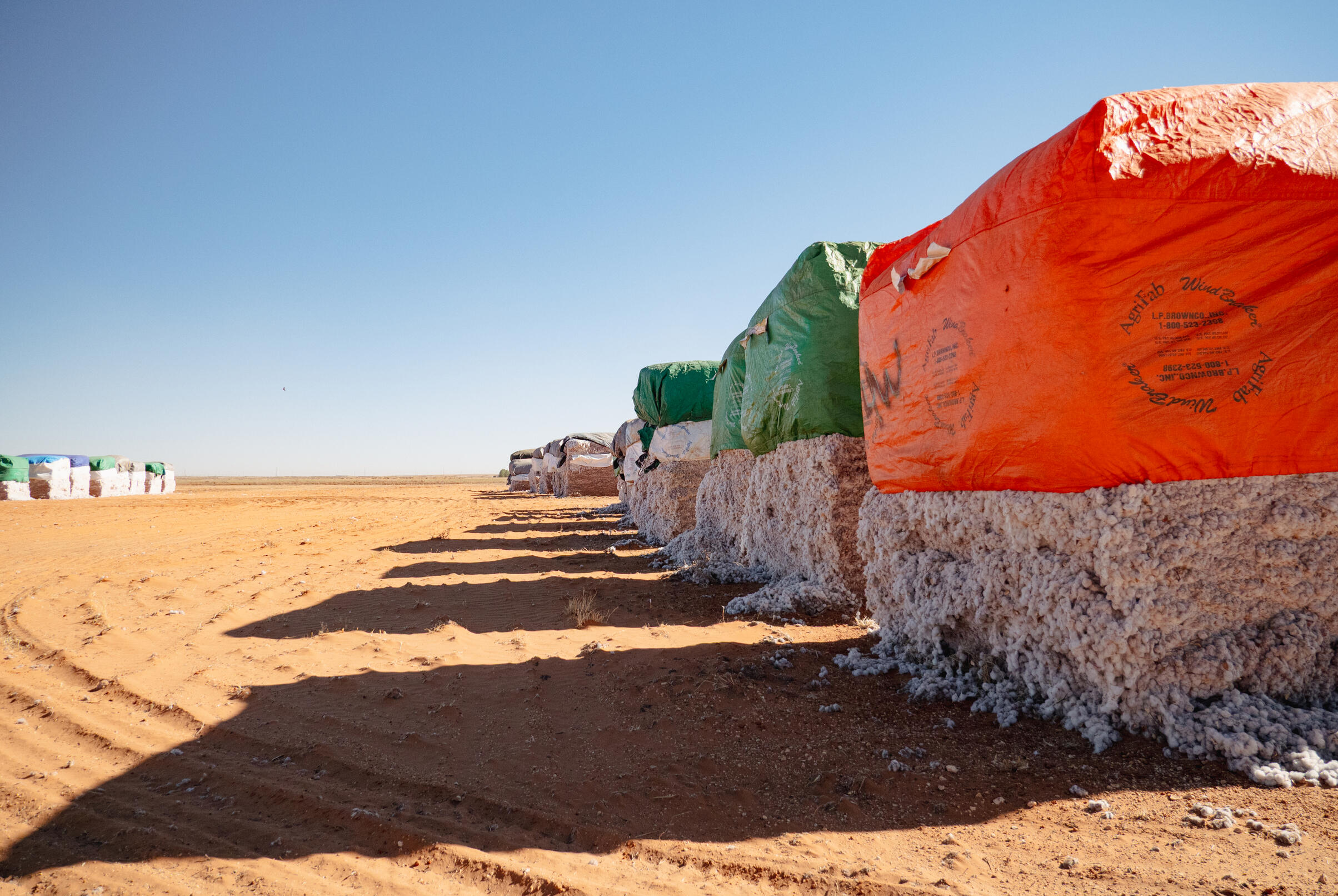 Unprocessed Cotton Unprocessed Cotton